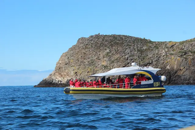A Pennicott Bruny Island cruise boat beside The Friars rocks off South Bruny
